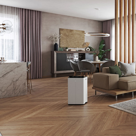 LUKAS PRO : 2-en-1 Déshumidificateur et purificateur d’air | Stadler Form