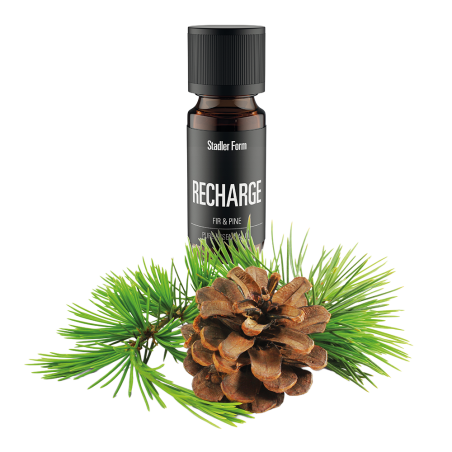RECHARGE Huile essentielle boisée et épicée | Stadler Form