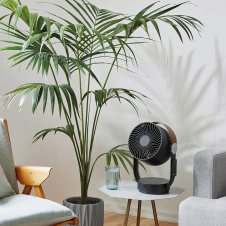 LEO Noir – Ventilateur oscillant silencieux et puissant | Stadler Form