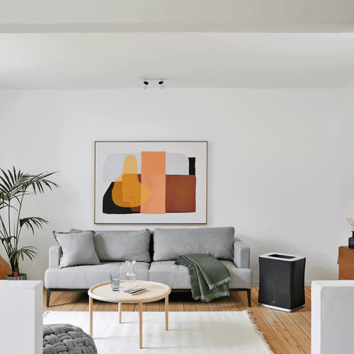 Purificateur d'air ROGER Big | Stadler Form